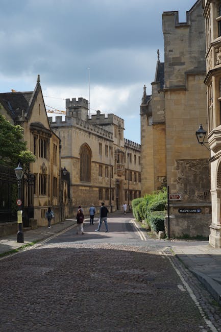A large, leafless tree stands in front of a historic stone building with Gothic architectural features, including tall pointed windows and decorative spires. The building, which appears to be a castle